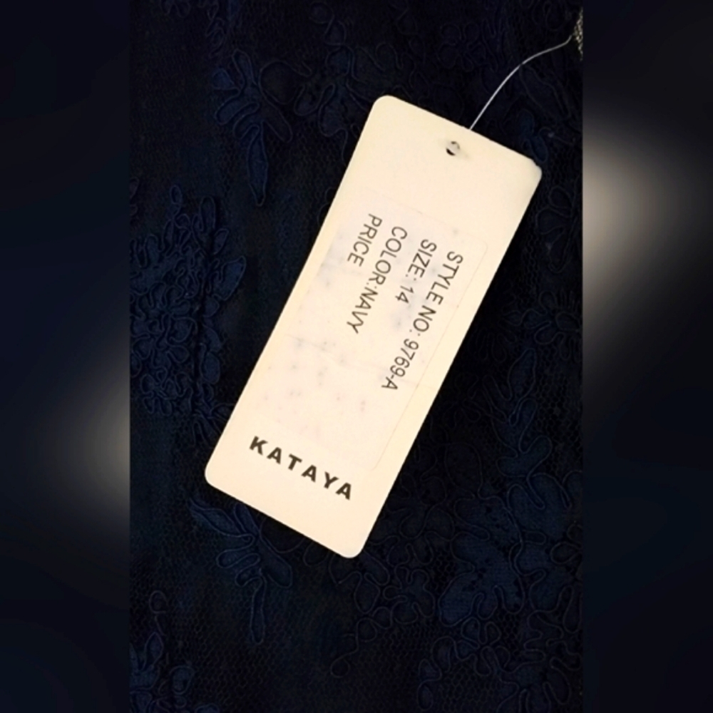 KATAYA Navy Lace Dress Size 14 - New With Tags - Picture 4 of 4